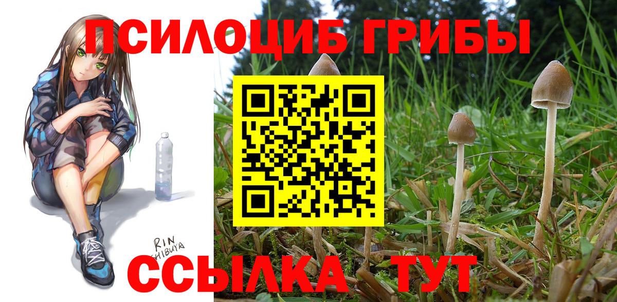 Галлюциногенные грибы Psilocybine cubensis Аша