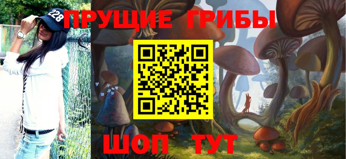 что такое   Вход с VPN  Аша  Галлюциногенные грибы Cubensis 